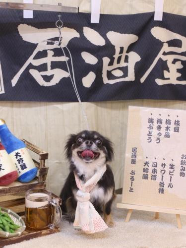 20240608らんまるちゃん